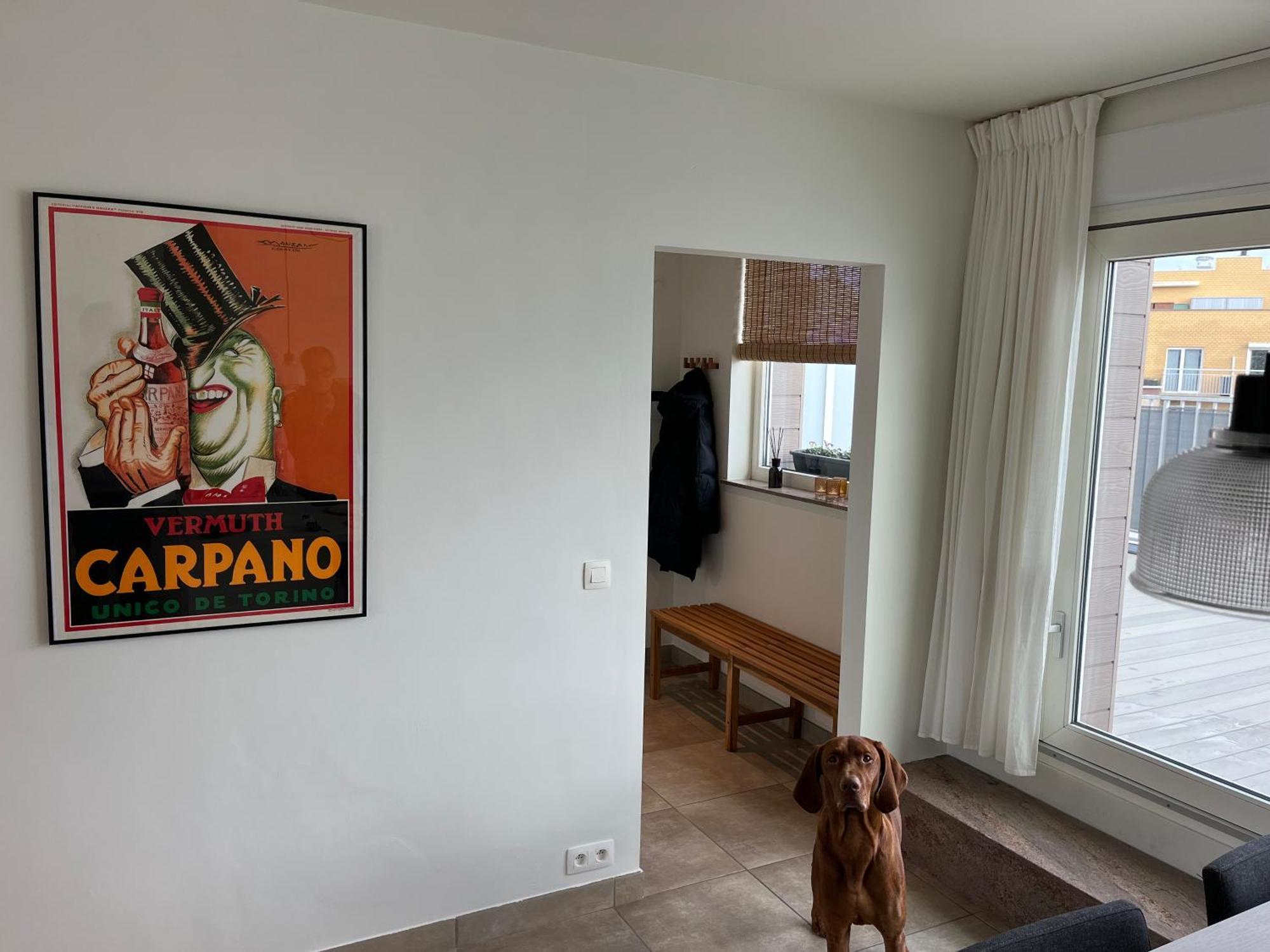 Penthouse 29 Lejlighed Oostende Eksteriør billede